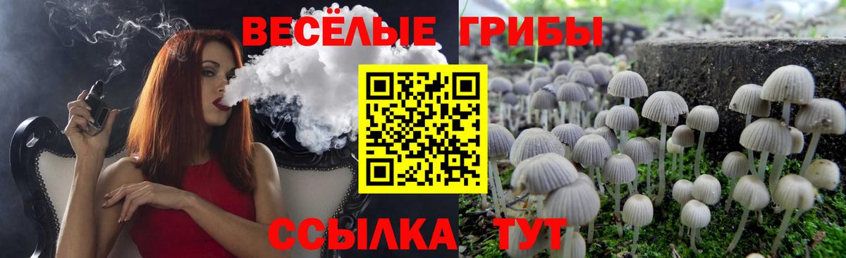 Галлюциногенные грибы мицелий  Галлюциногенные грибы Psilocybine cubensis  Ульяновск  Вход с VPN 