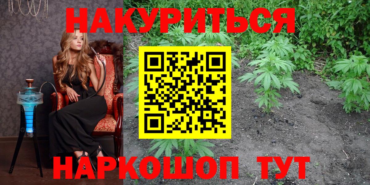 Шишки марихуана план  Канабис OG Kush  Ульяновск  Вход с VPN  Бошки марихуана White Widow 